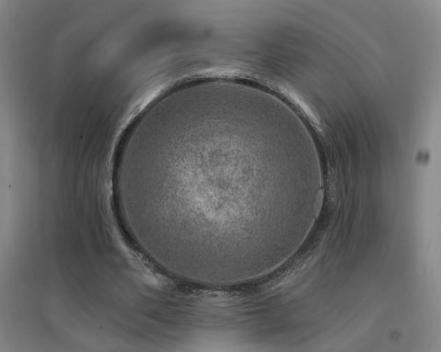 X0000094440486200711081252