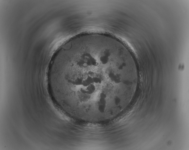 X0000094440487200711081252