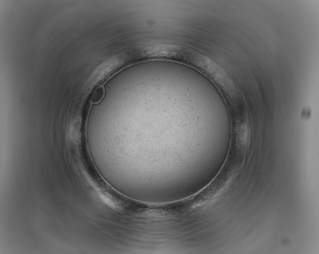 X0000094440490200711081252