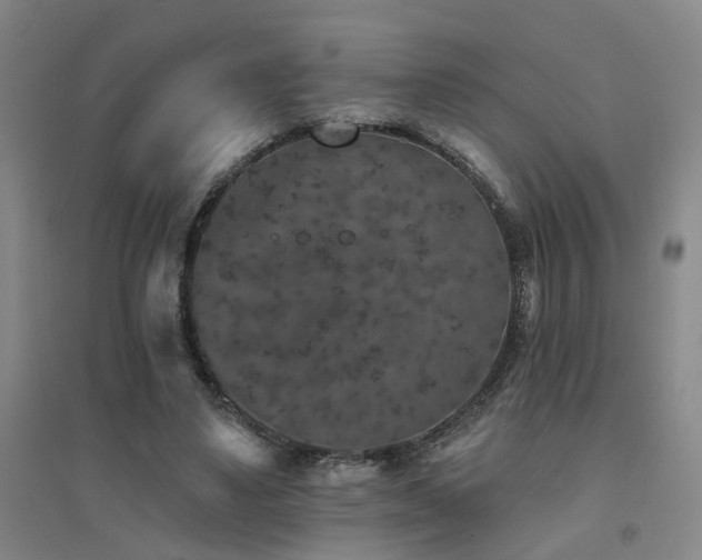 X0000094440491200711081252