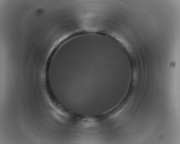 X0000094440492200711081252