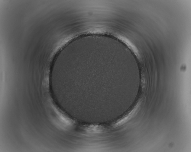 X0000094440493200711081252
