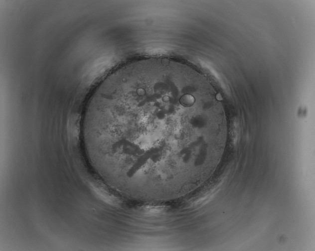 X0000094440495200711081252