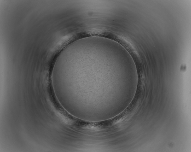 X0000094440498200711081252