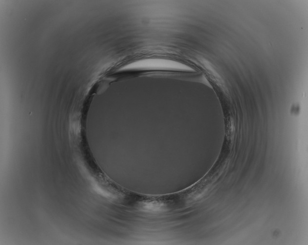 X0000094440500200711081252