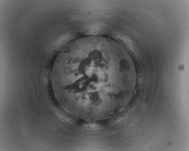 X0000094440503200711081252