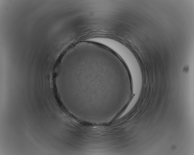 X0000094440508200711081252