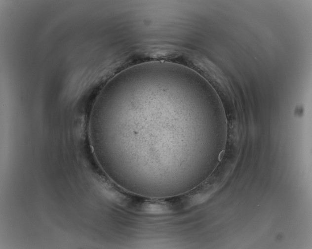 X0000094440510200711081251