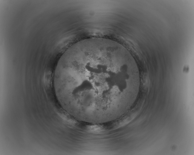 X0000094440511200711081251