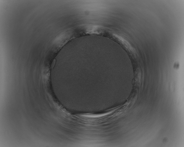 X0000094440513200711081251