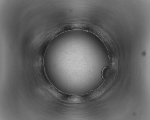 X0000094440514200711081251