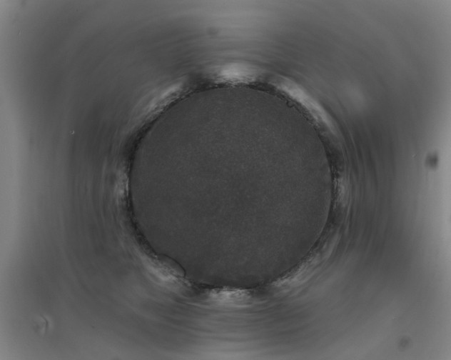 X0000094440517200711081251