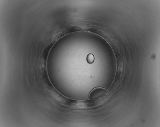 X0000094440518200711081251