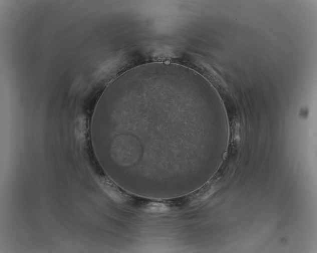 X0000094440519200711081251