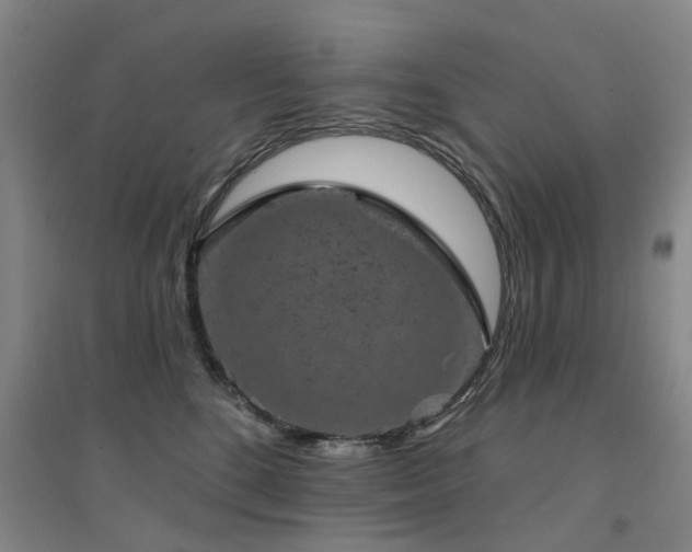 X0000094440520200711081251