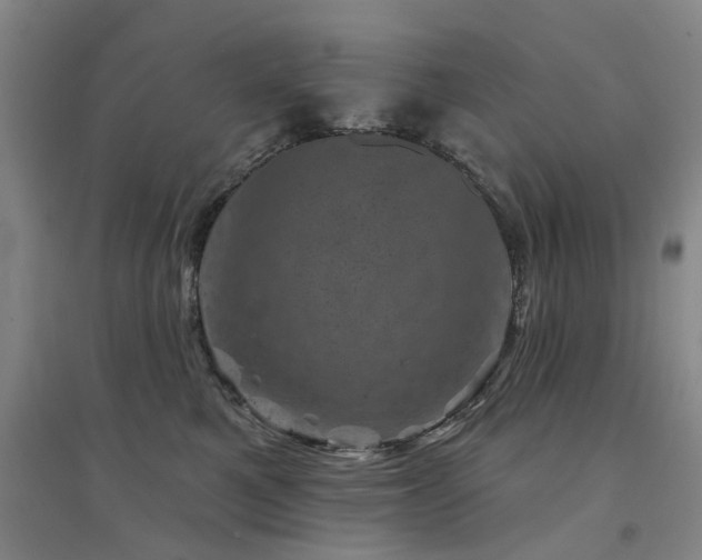 X0000094440521200711081251