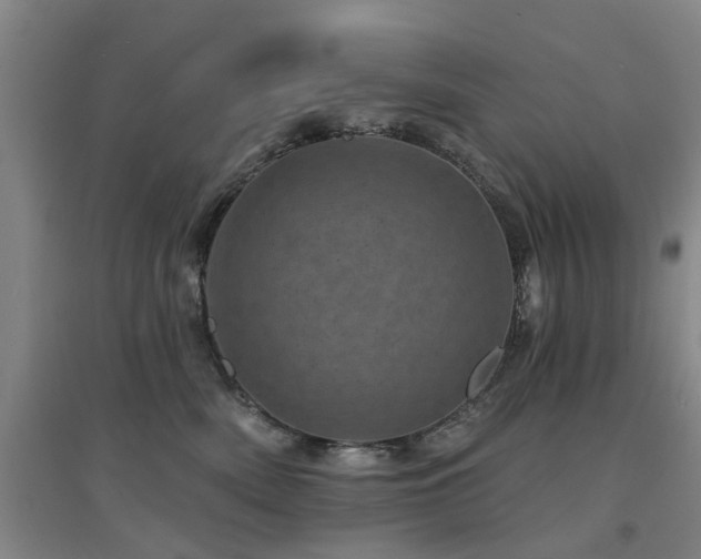 X0000094440522200711081251