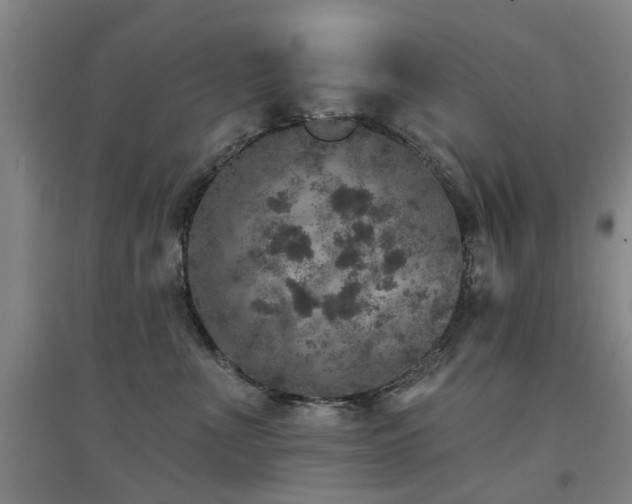 X0000094440523200711081251