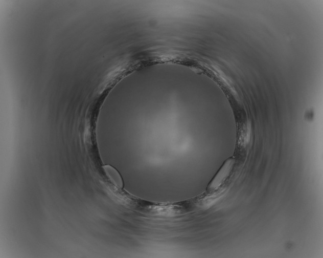 X0000094440524200711081251