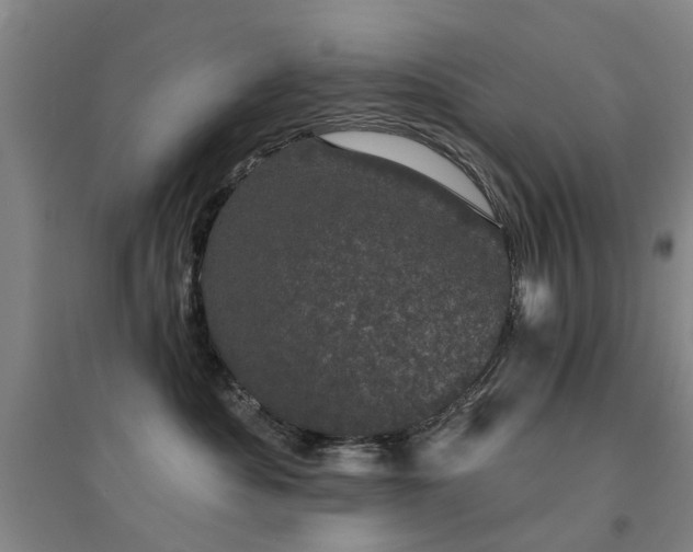 X0000094440525200711081251