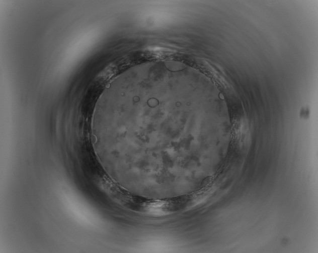 X0000094440527200711081251