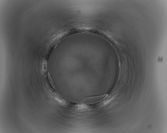 X0000094440528200711081251