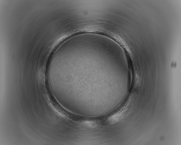 X0000094440530200711081251