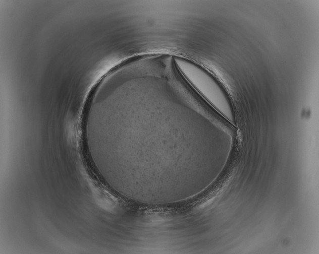 X0000094440532200711081251
