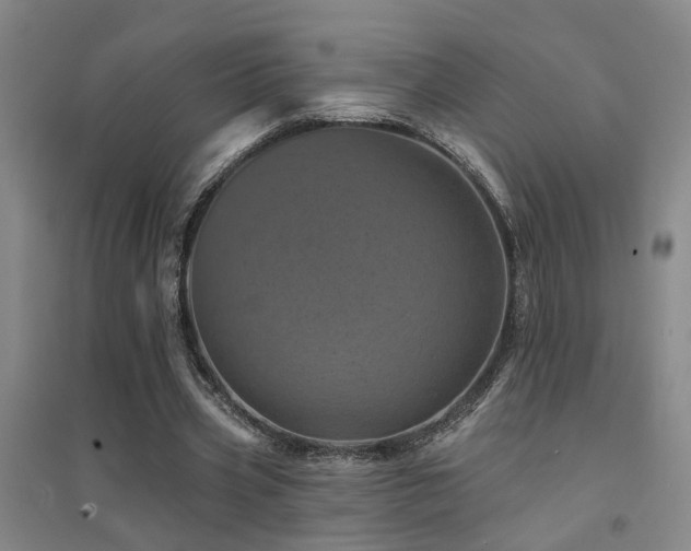 X0000094440533200711081251