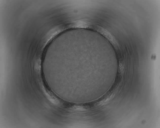 X0000094440534200711081251