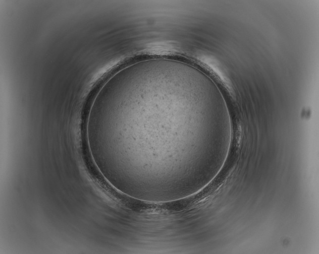 X0000094440535200711081251