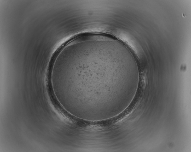 X0000094440536200711081251