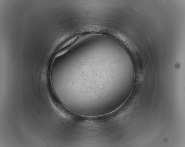 X0000094440538200711081251