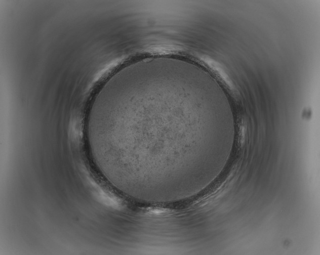 X0000094440539200711081251