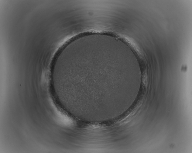X0000094440540200711081251