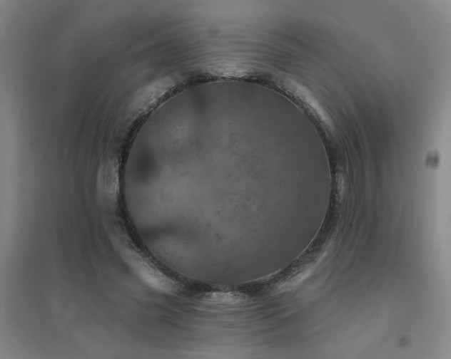 X0000094440541200711081251