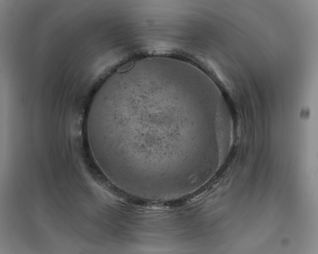 X0000094440543200711081251