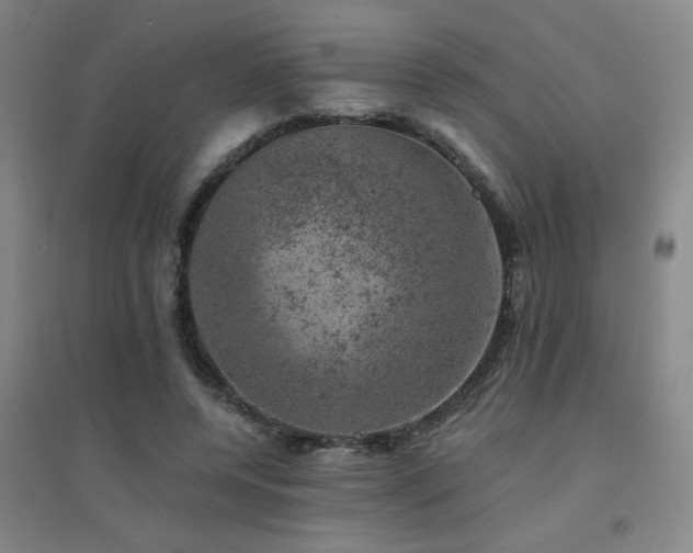 X0000094440544200711081251