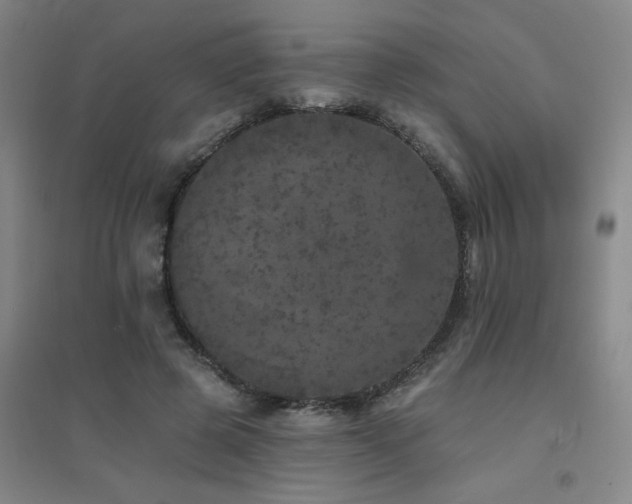 X0000094440545200711081251