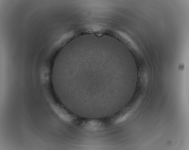 X0000094440546200711081251