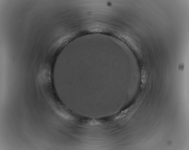 X0000094440547200711081251