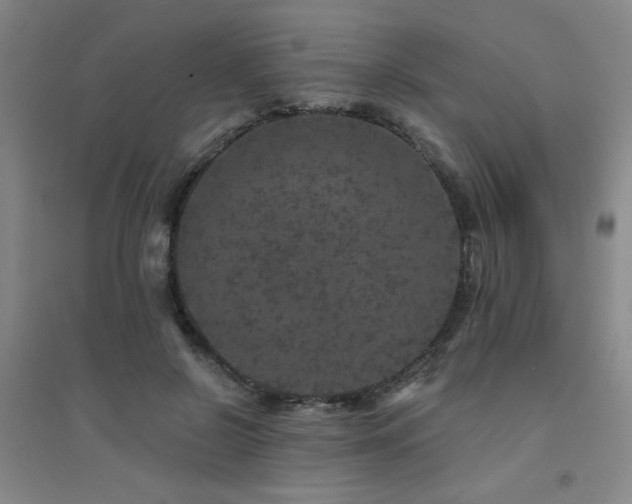 X0000094440550200711081251