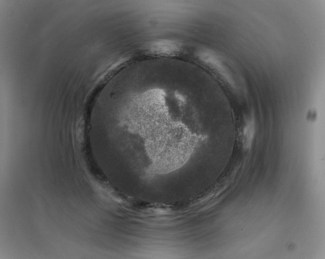 X0000094440552200711081251
