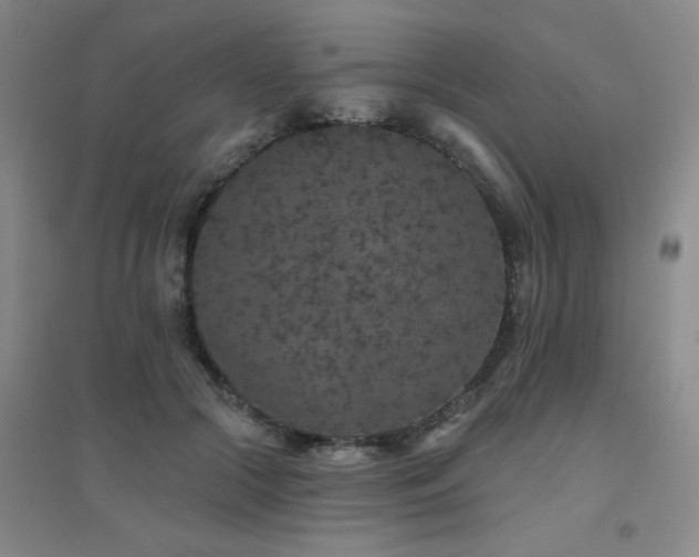 X0000094440553200711081251