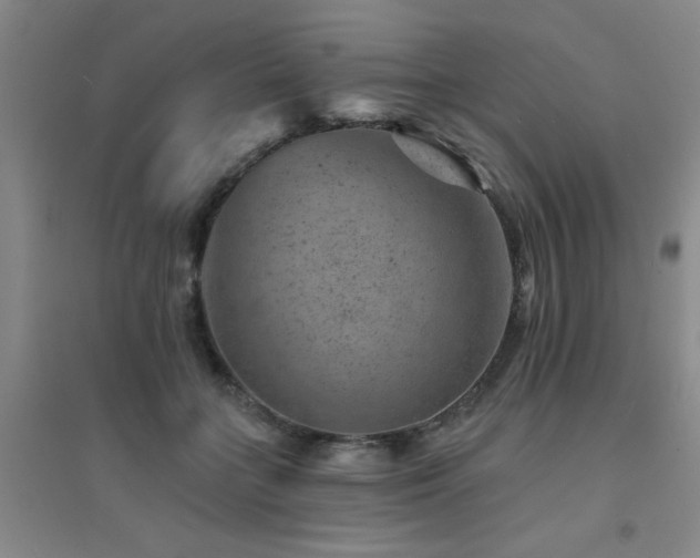X0000094440555200711081251