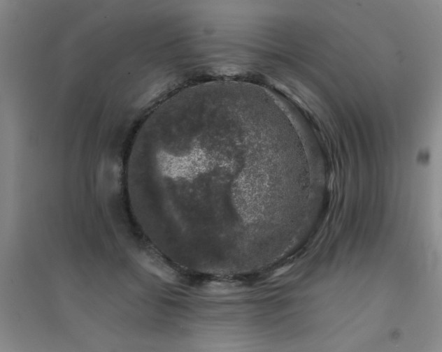 X0000094440556200711081251
