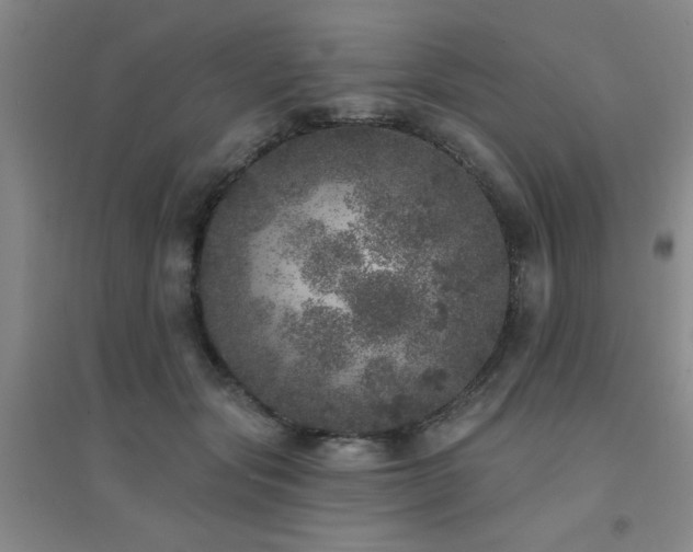 X0000094440557200711081251