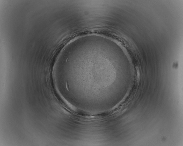 X0000094440558200711081251