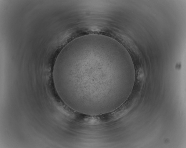 X0000094440559200711081251
