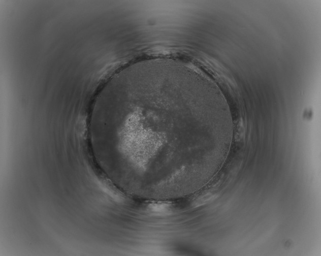 X0000094440560200711081251